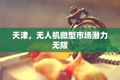 天津，无人机微型市场潜力无限