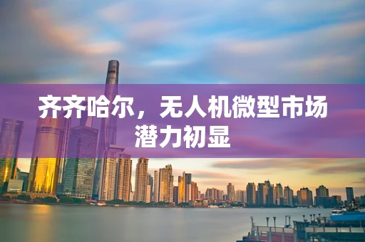 齐齐哈尔，无人机微型市场潜力初显