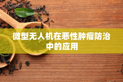 微型无人机在恶性肿瘤防治中的应用