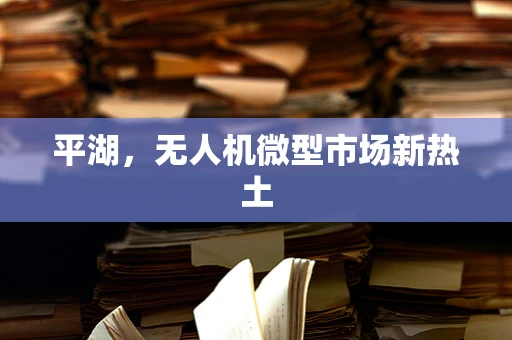 平湖，无人机微型市场新热土