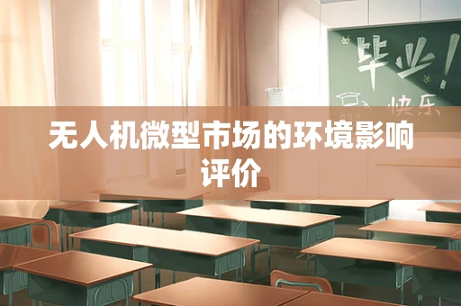 无人机微型市场的环境影响评价
