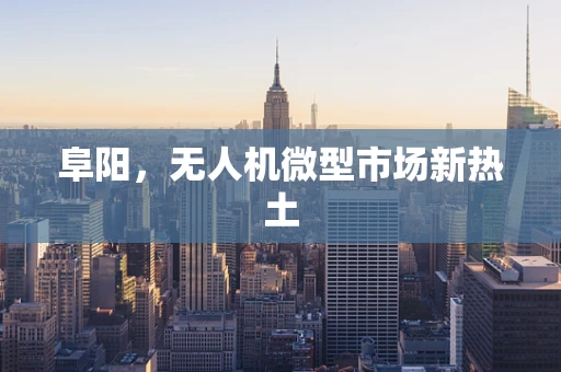 阜阳，无人机微型市场新热土