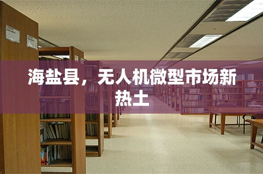海盐县，无人机微型市场新热土