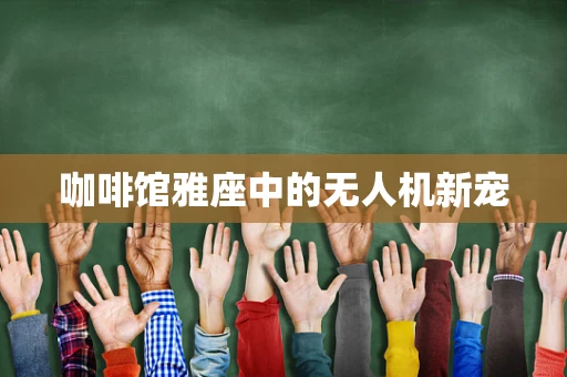 咖啡馆雅座中的无人机新宠