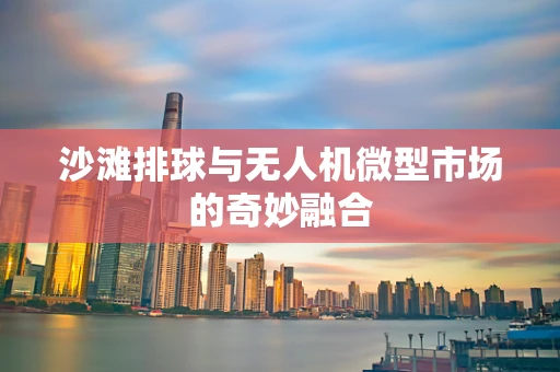 沙滩排球与无人机微型市场的奇妙融合