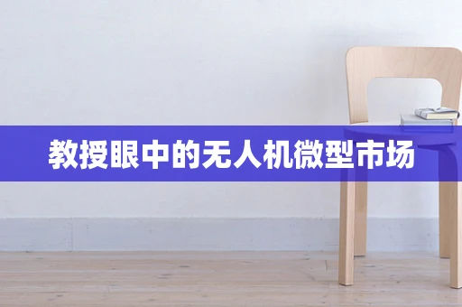 教授眼中的无人机微型市场