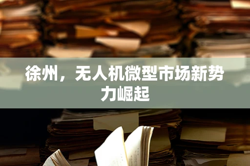 徐州，无人机微型市场新势力崛起