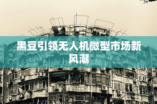 黑豆引领无人机微型市场新风潮