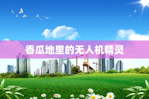 香瓜地里的无人机精灵