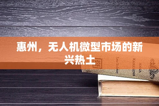 惠州，无人机微型市场的新兴热土