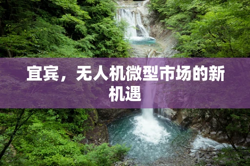 宜宾，无人机微型市场的新机遇