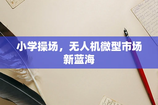 小学操场，无人机微型市场新蓝海