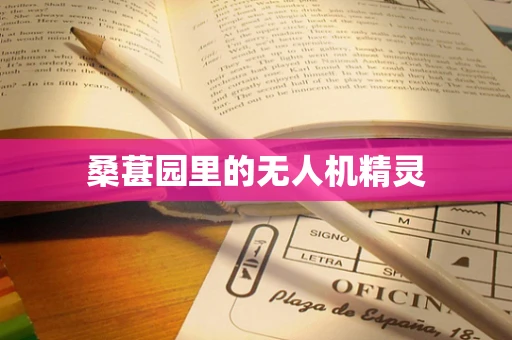 桑葚园里的无人机精灵