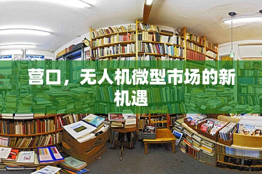 营口，无人机微型市场的新机遇