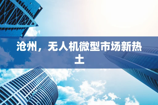 沧州，无人机微型市场新热土