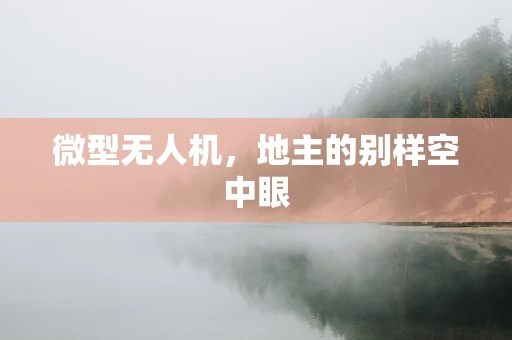微型无人机，地主的别样空中眼