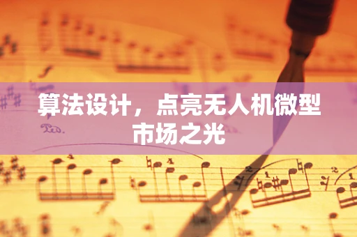 算法设计，点亮无人机微型市场之光