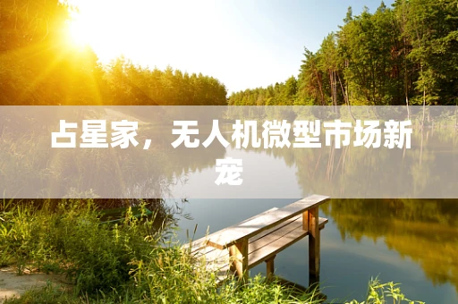占星家，无人机微型市场新宠