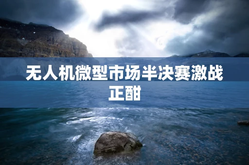 无人机微型市场半决赛激战正酣
