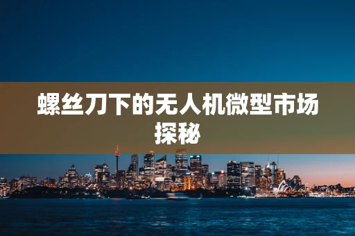 螺丝刀下的无人机微型市场探秘