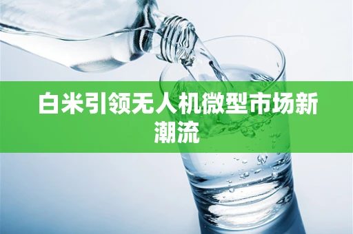 白米引领无人机微型市场新潮流