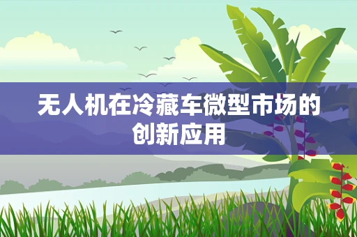 无人机在冷藏车微型市场的创新应用
