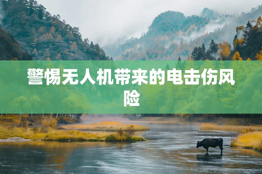 警惕无人机带来的电击伤风险