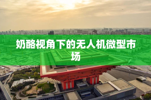 奶酪视角下的无人机微型市场