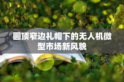 圆顶窄边礼帽下的无人机微型市场新风貌