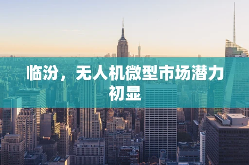 临汾，无人机微型市场潜力初显