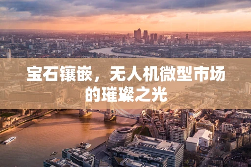 宝石镶嵌，无人机微型市场的璀璨之光