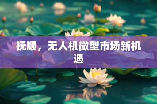 抚顺，无人机微型市场新机遇