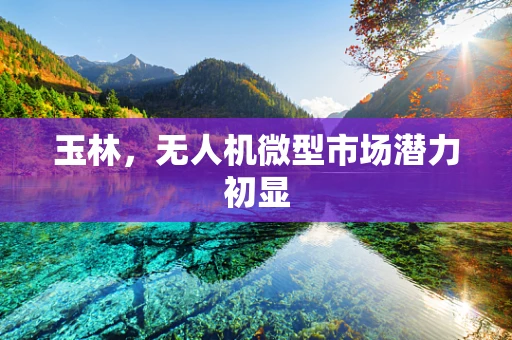 玉林，无人机微型市场潜力初显