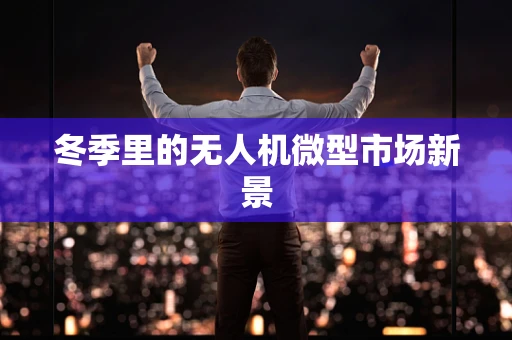 冬季里的无人机微型市场新景