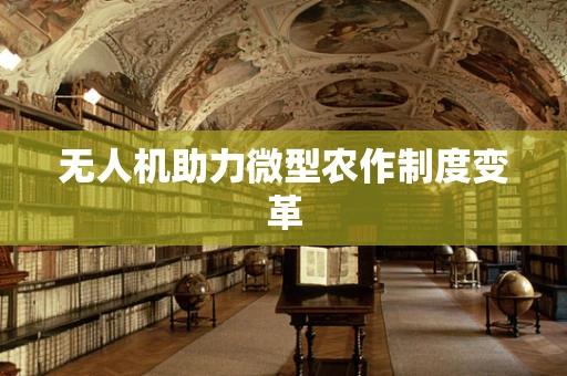 无人机助力微型农作制度变革