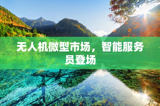 无人机微型市场，智能服务员登场