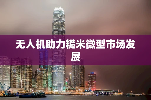 无人机助力糙米微型市场发展
