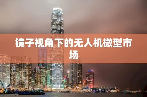 镜子视角下的无人机微型市场