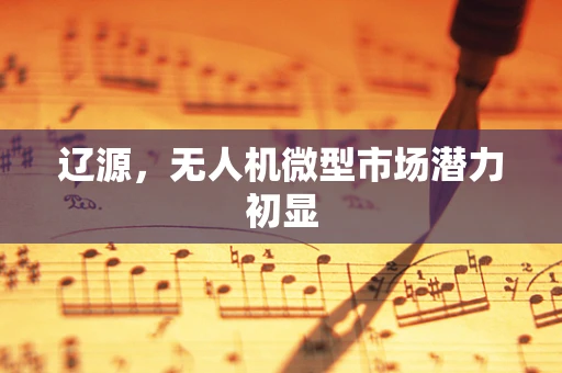 辽源，无人机微型市场潜力初显