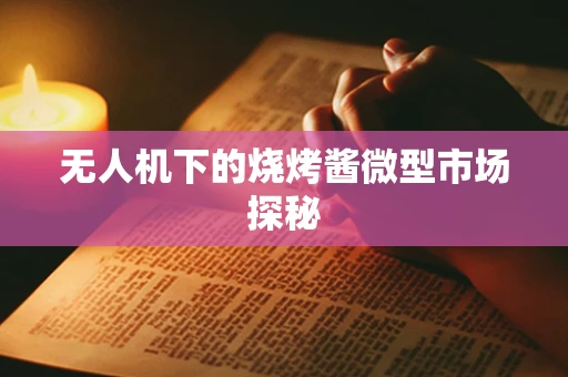 无人机下的烧烤酱微型市场探秘