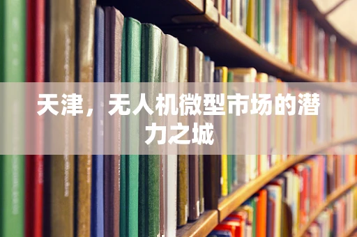 天津，无人机微型市场的潜力之城