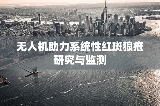 无人机助力系统性红斑狼疮研究与监测