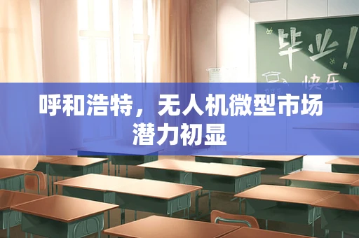 呼和浩特，无人机微型市场潜力初显