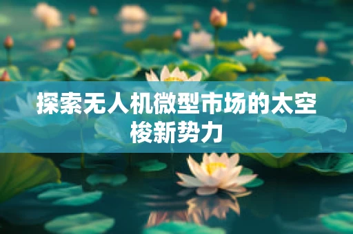 探索无人机微型市场的太空梭新势力