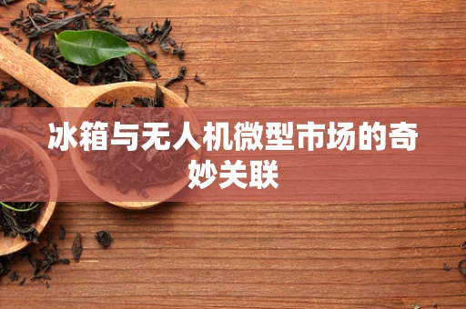 冰箱与无人机微型市场的奇妙关联