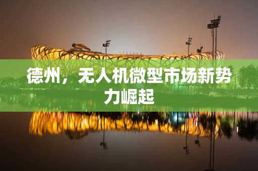 德州，无人机微型市场新势力崛起