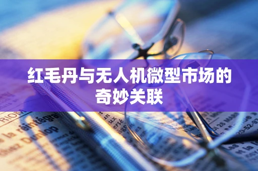 红毛丹与无人机微型市场的奇妙关联