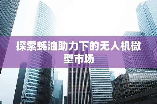探索蚝油助力下的无人机微型市场
