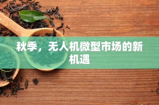 秋季，无人机微型市场的新机遇