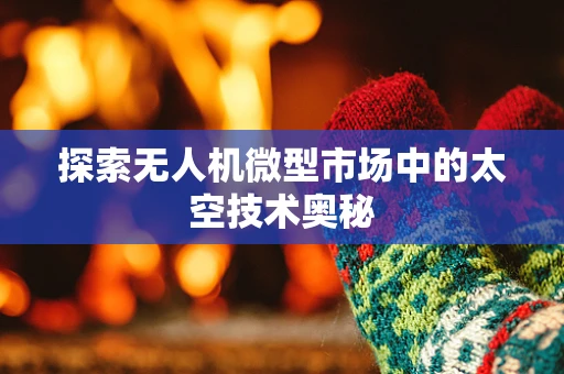 探索无人机微型市场中的太空技术奥秘